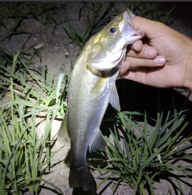 スクリーンショット 2022-08-02 16.03.34