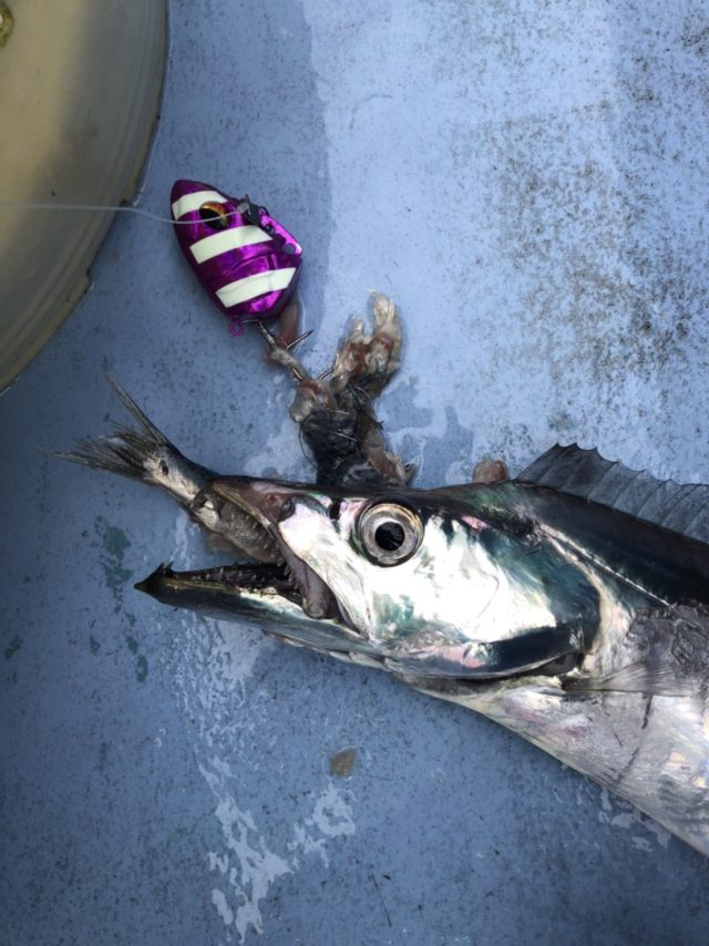 HCDfCAGbBd7qEi6PFueLg9ACQfkx-MQETVXhuTziPdKP_P2ISuD0-AjtM4MqJRT1MZmvDieNhPbBGDrg5lHBnP25L0zW_1SXc9U_coZvHYHszfP9mrJ86Q6wUuXF6WZ-640x854