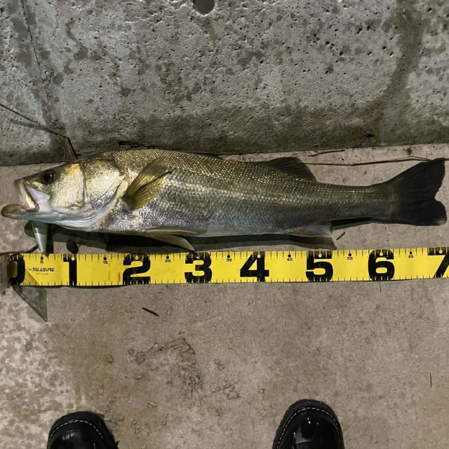 b0ab1a0d-7608-4d03-ade5-db1b339add54