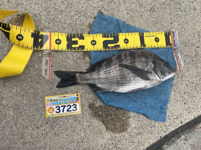 cbf44453-11d7-4469-8424-e926f55f93f4