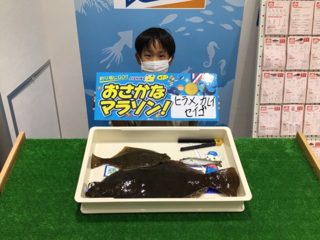 line_oa_chat_220815_125044