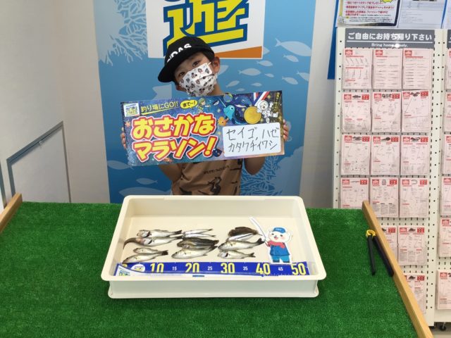 rTzDGmnUXPvi3pioccrQn-12uw_n3M1k33NBdhInMEYL7nvv2aBu90YQff5jD1kFA33XY_bV6YmLkRJo40b7qtaoNMdy9c7JjwfQDb37Lsy9Sn4eZig5jy3W3JXr0y9C