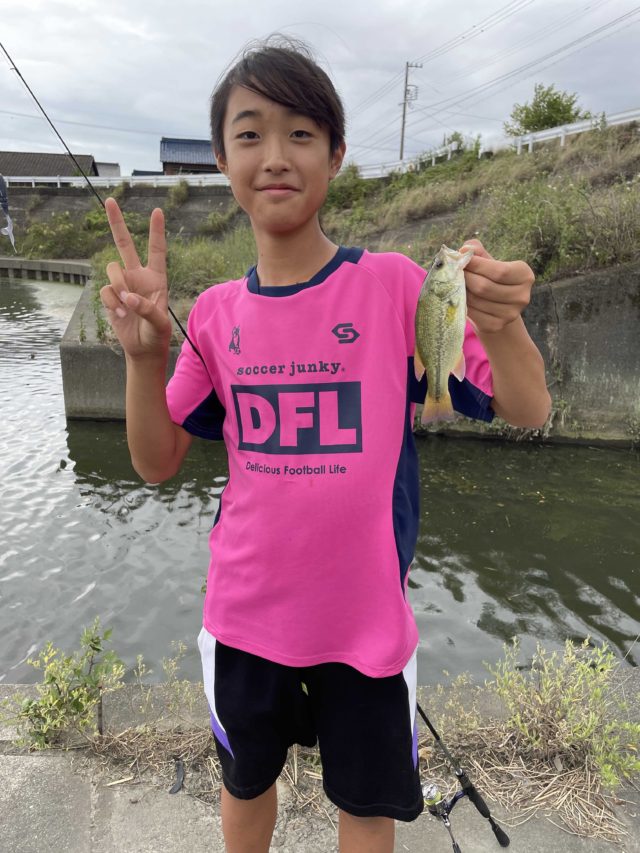 1a7501af-d4c1-4053-bd88-44a39f10ab0f