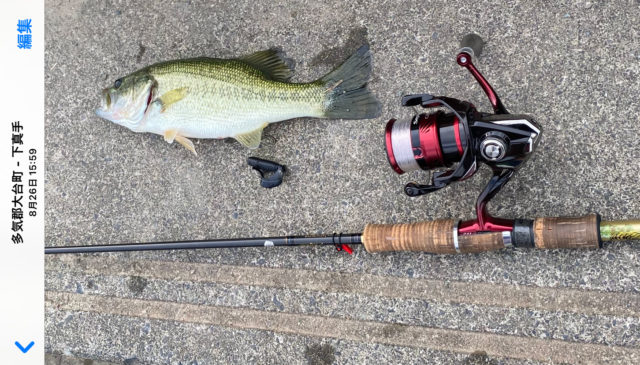 46a74a03-4642-4819-a316-a874c57d9130