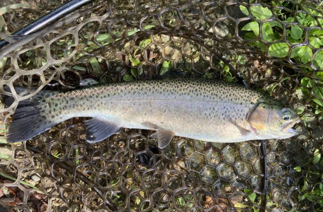 73F67079-9A54-4FE8-8471-DF97082B4706-640x421