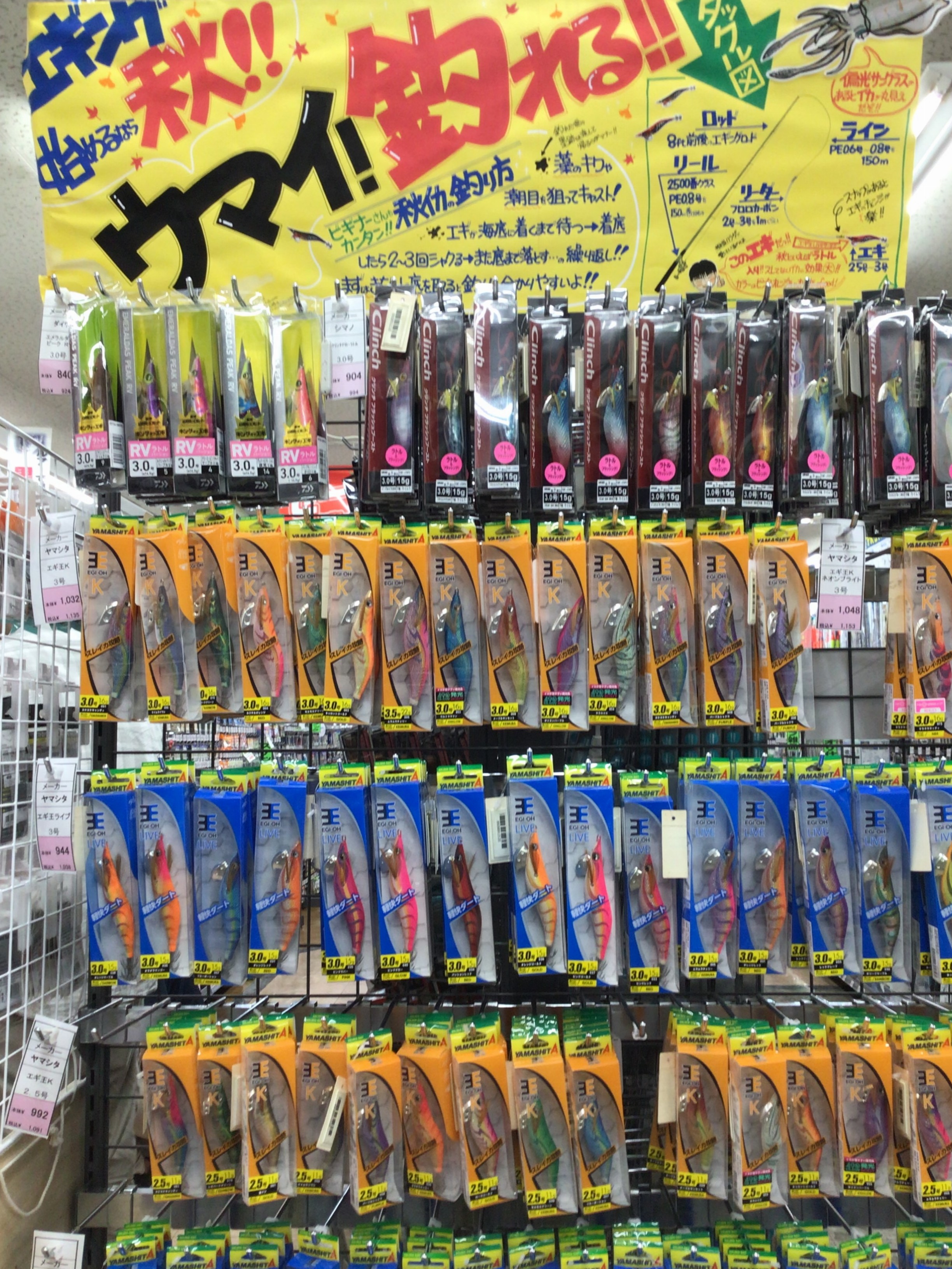 9FB62CFC-3487-4AD5-B684-7998B031626C