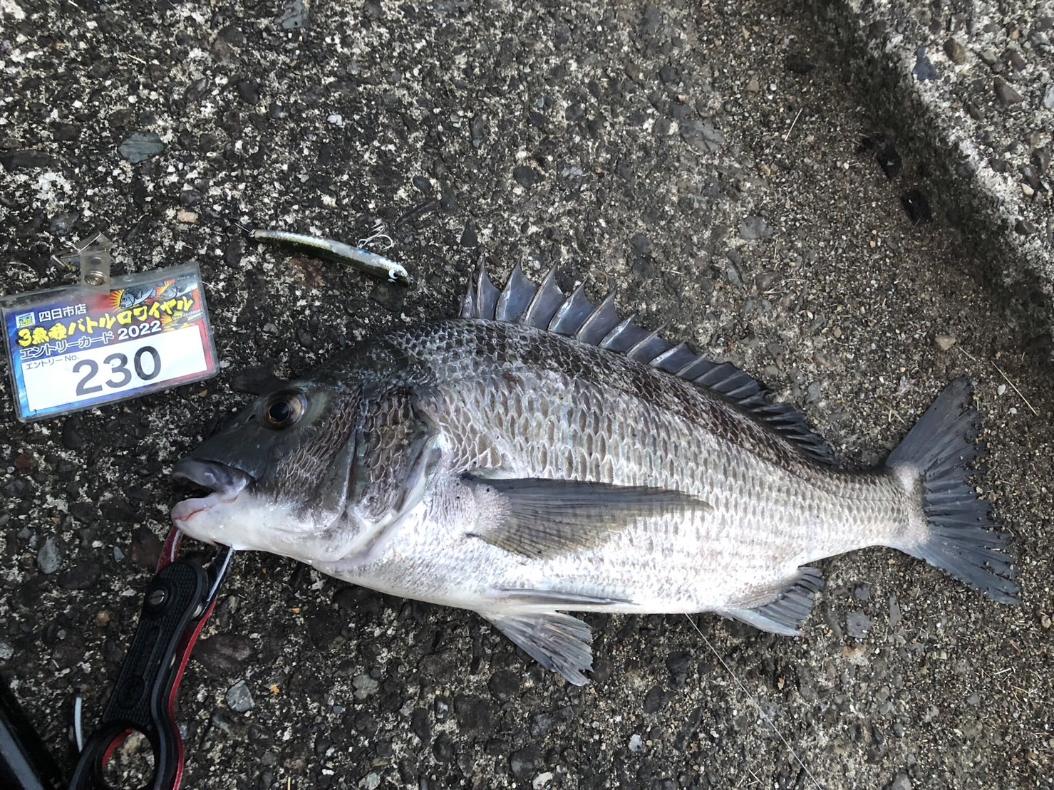 9NYdL5FUTgoHHEYAPs-XLZl3dgPjr1XAMJOIDEs6iAZmY0hwmPQpL5ktzOeAXLxxiTS7M-CCsyQomzXHNTmIemvnabRcE8nKWp58DUd0UdJMNcYaAR-72nHvF7oQYE18