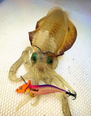 FB_IMG_1662569594451