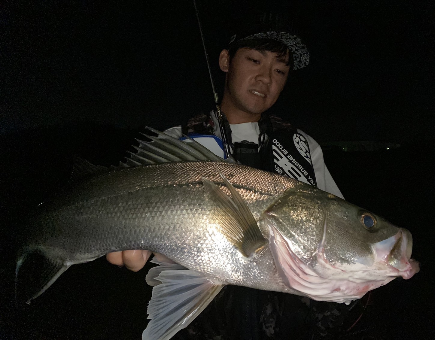 b135Hp_9sd3uSxWKnfX8IIeSk4qbLDKa9_rXmTsJsReu0j_UqIBYcmD-LcZgL4VkoAGZAY1onX8bPba8RxRhdpC3g1B6-kqt56kzHWO3L9fvWnI34Mi4BGRmKOFubkvm