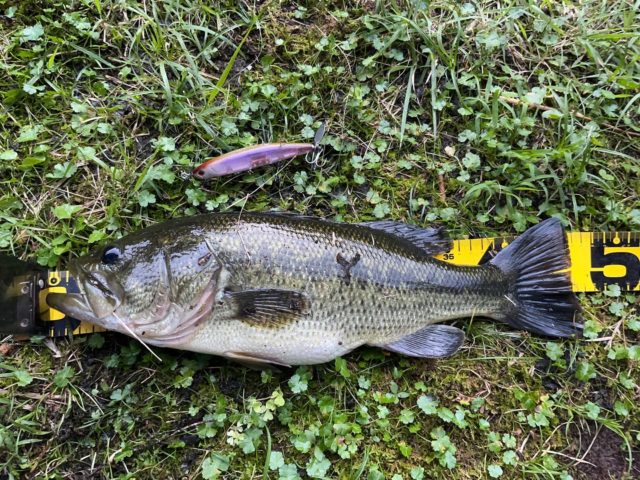 c4f6752a-1fa8-4dc4-b5ba-cf029cdac85b