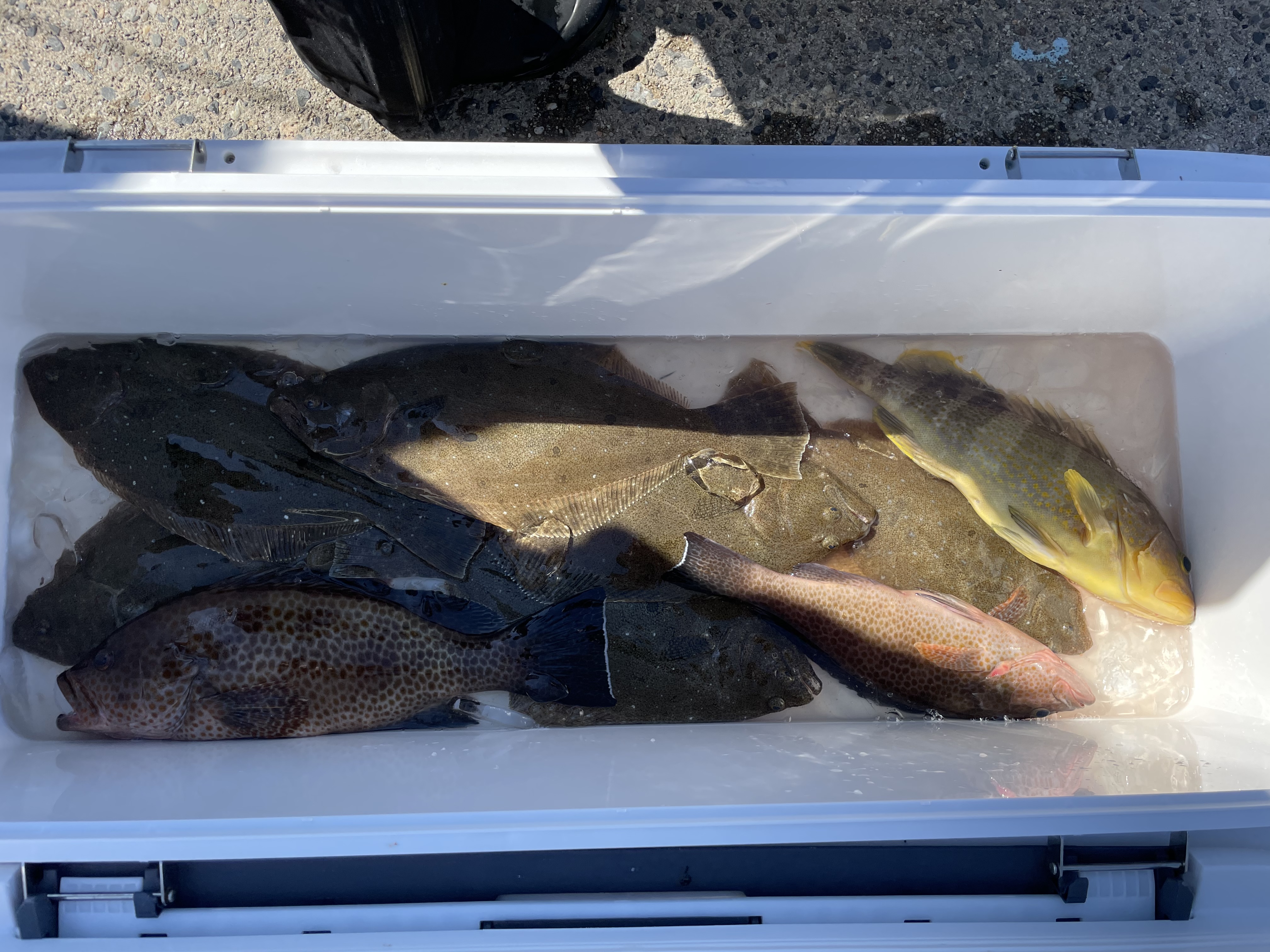 0788AC42-B9C7-4FCD-9DAA-CEAC1E73A7FF