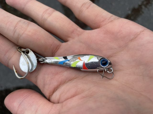 129F62F6-8FC3-4820-909E-1A6C960527E5