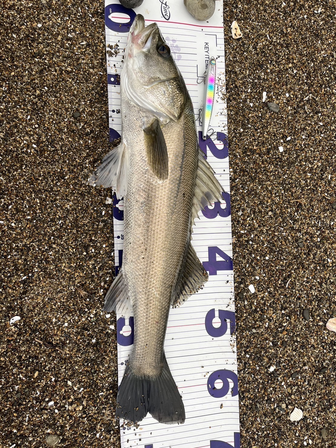 1YkLuzaRMEf1EXkaYsFiVdJNDpYLUs5_fHKzR-joXFfeECJ1fKMxPpQNWIabsnckT2ZYVAtzzED5MKZ_hH6yEx0Ve5Zm_m_A1XQSz69f1qgDiNIhpcbD84BVnqhnpNKh