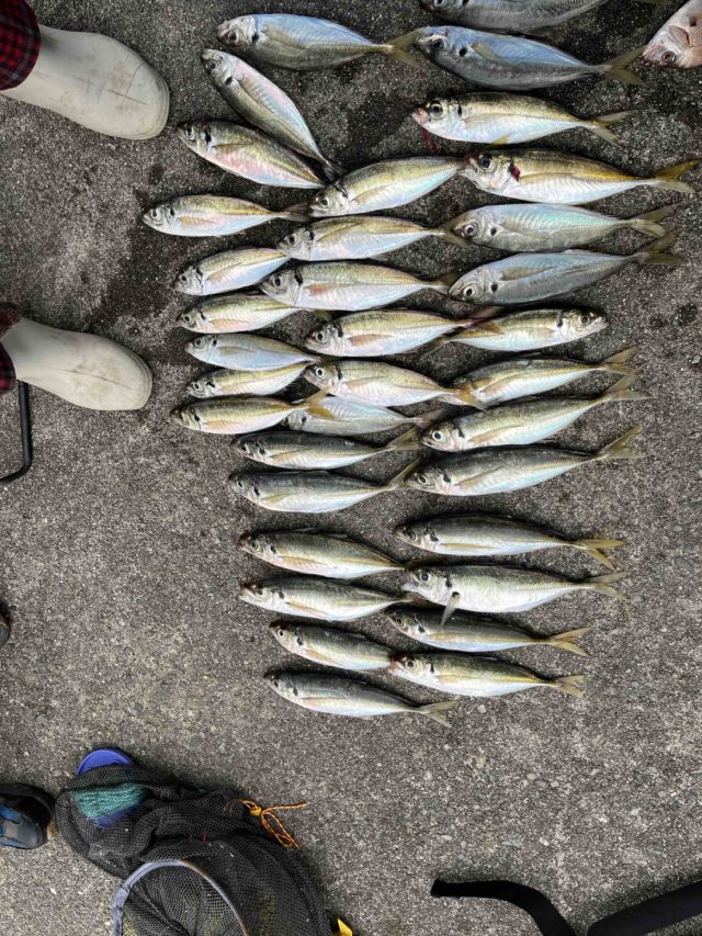 2a026ce5-72e1-4a84-9422-7f9dde0d6930