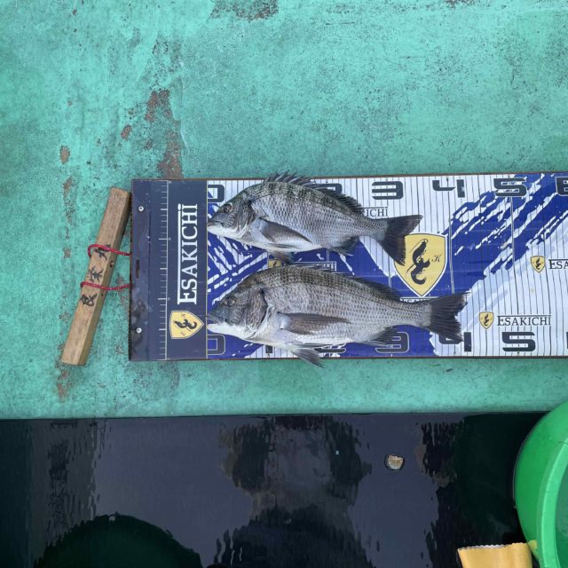 382814c65467-1ea6-4995-90ec-fbf4f1c5f902