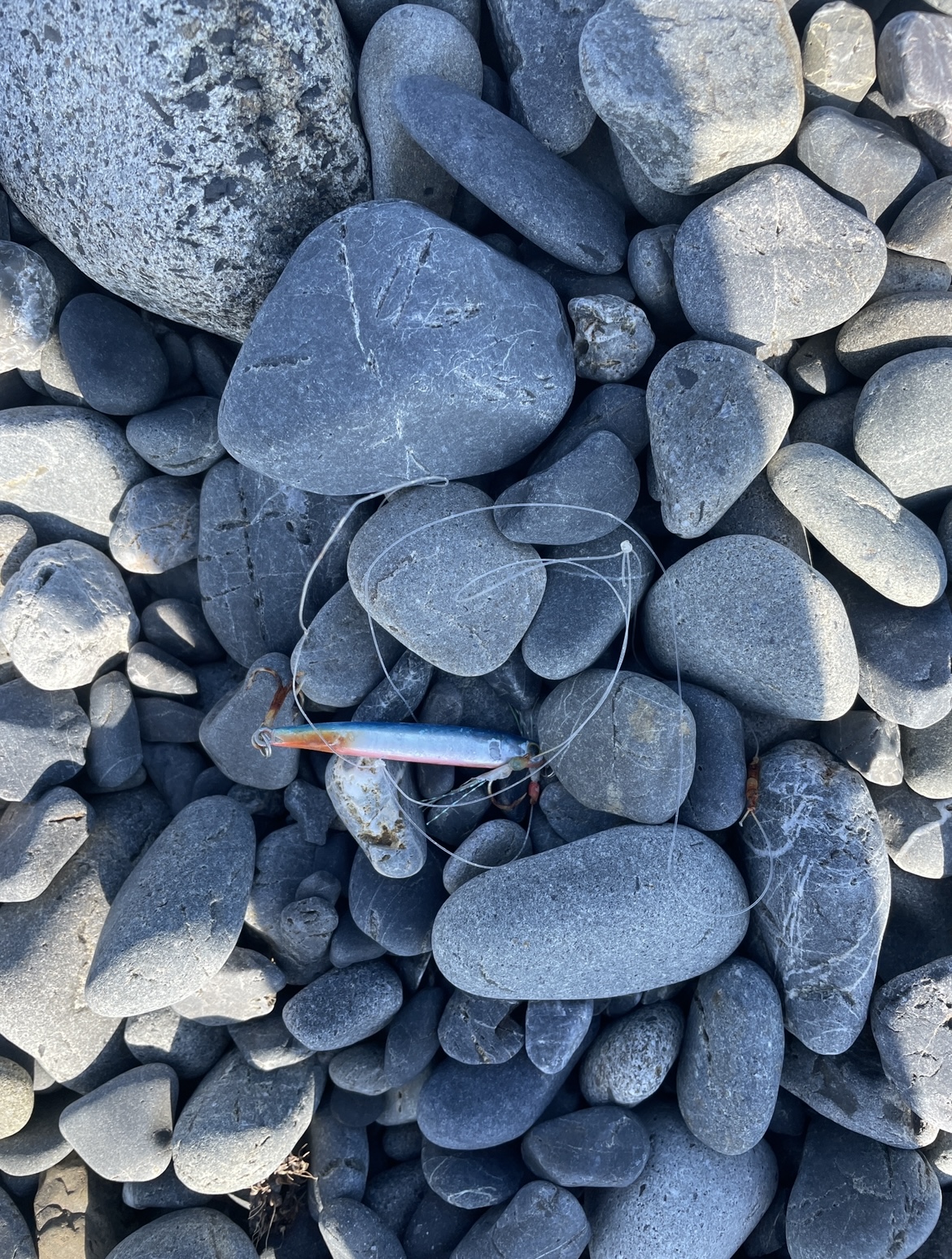 48D9163E-E18F-4B38-A9F6-1AA91A95E0AD