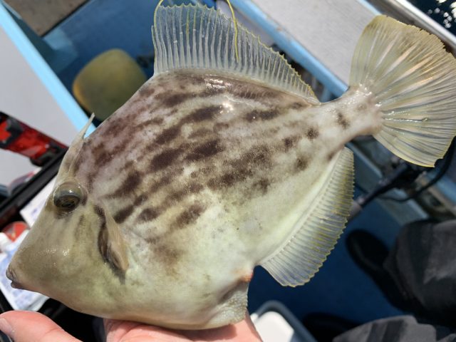 52318673-D3B4-4225-A1AE-36BAA73B209B