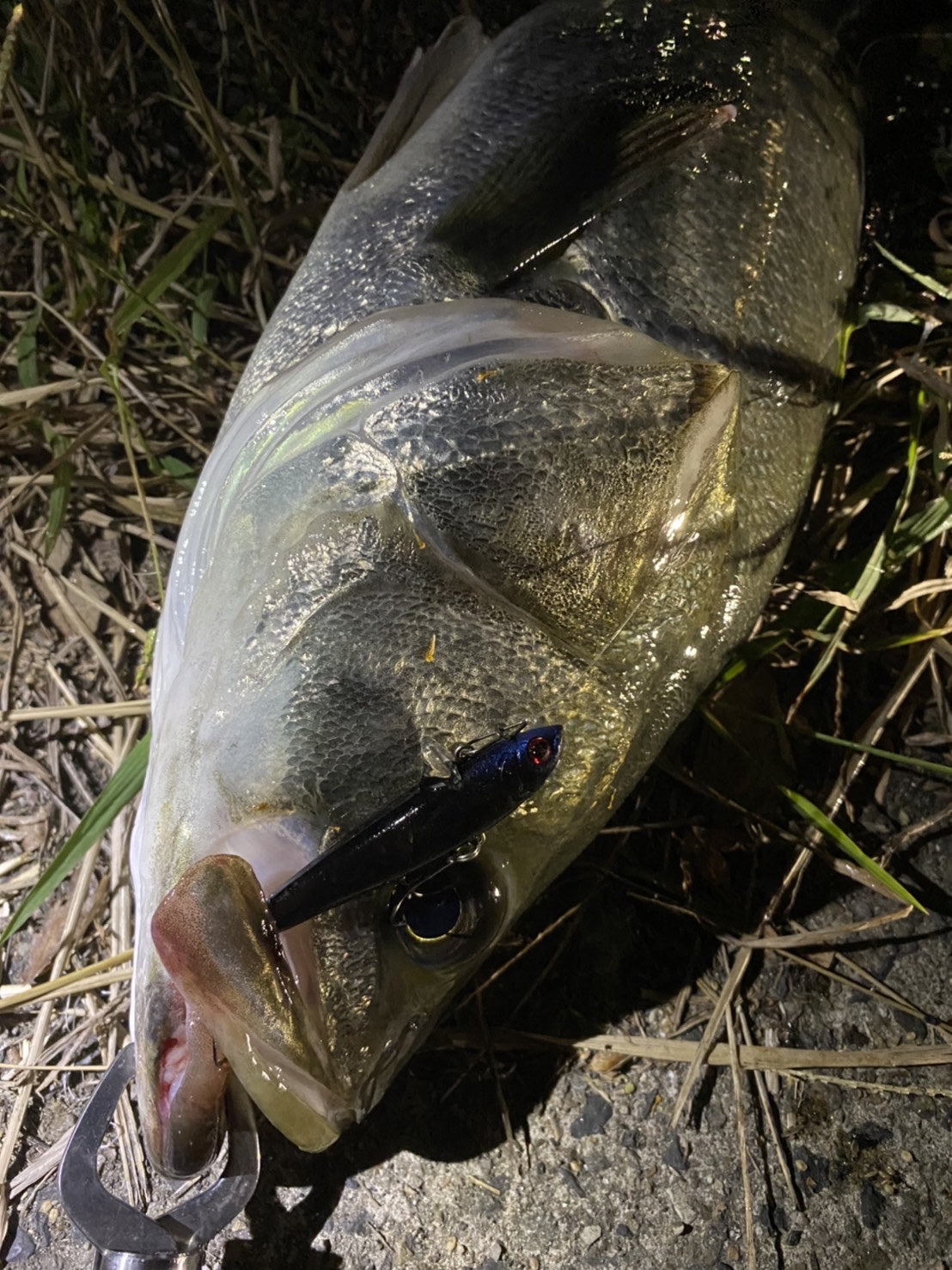 BcgQpl1ibxf0E2l_Y3mivO_yhrOt5nSjPavbo3fohbclC2kTmCSo9RIQUGZiwU0n0RsHX7e_K0ex464yYoZHE9qm8wdpTJq9B9ujacuOtZ9WNF-k8s0vG2QdMyLSYp5f