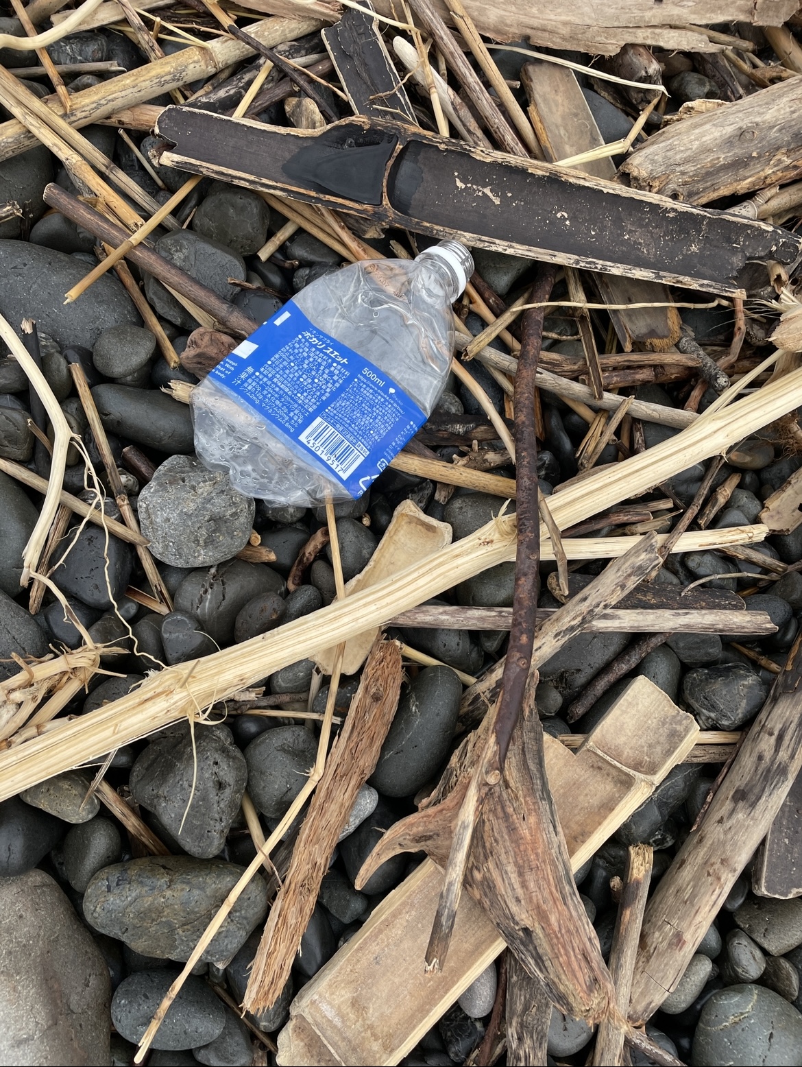 C989EBB8-005A-41F1-9F53-A14AE2C908E7