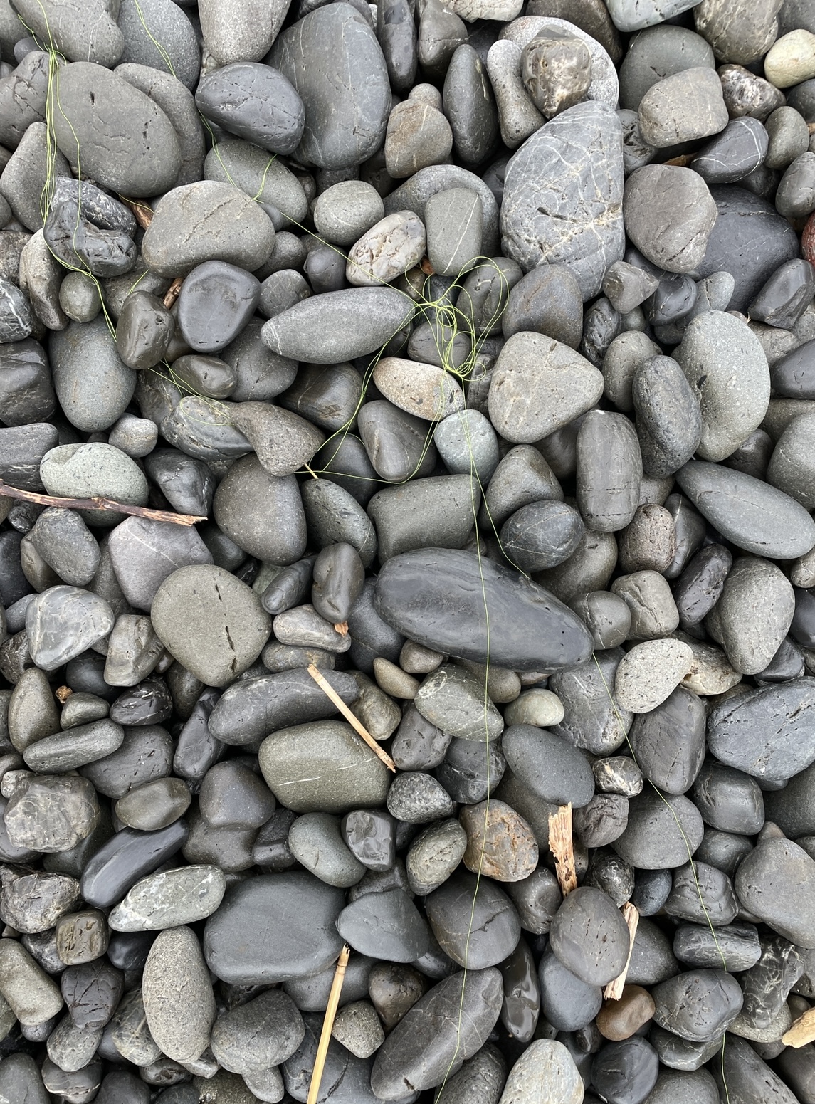 CFA7AF9E-218D-4FE6-9945-C5837175FCEB