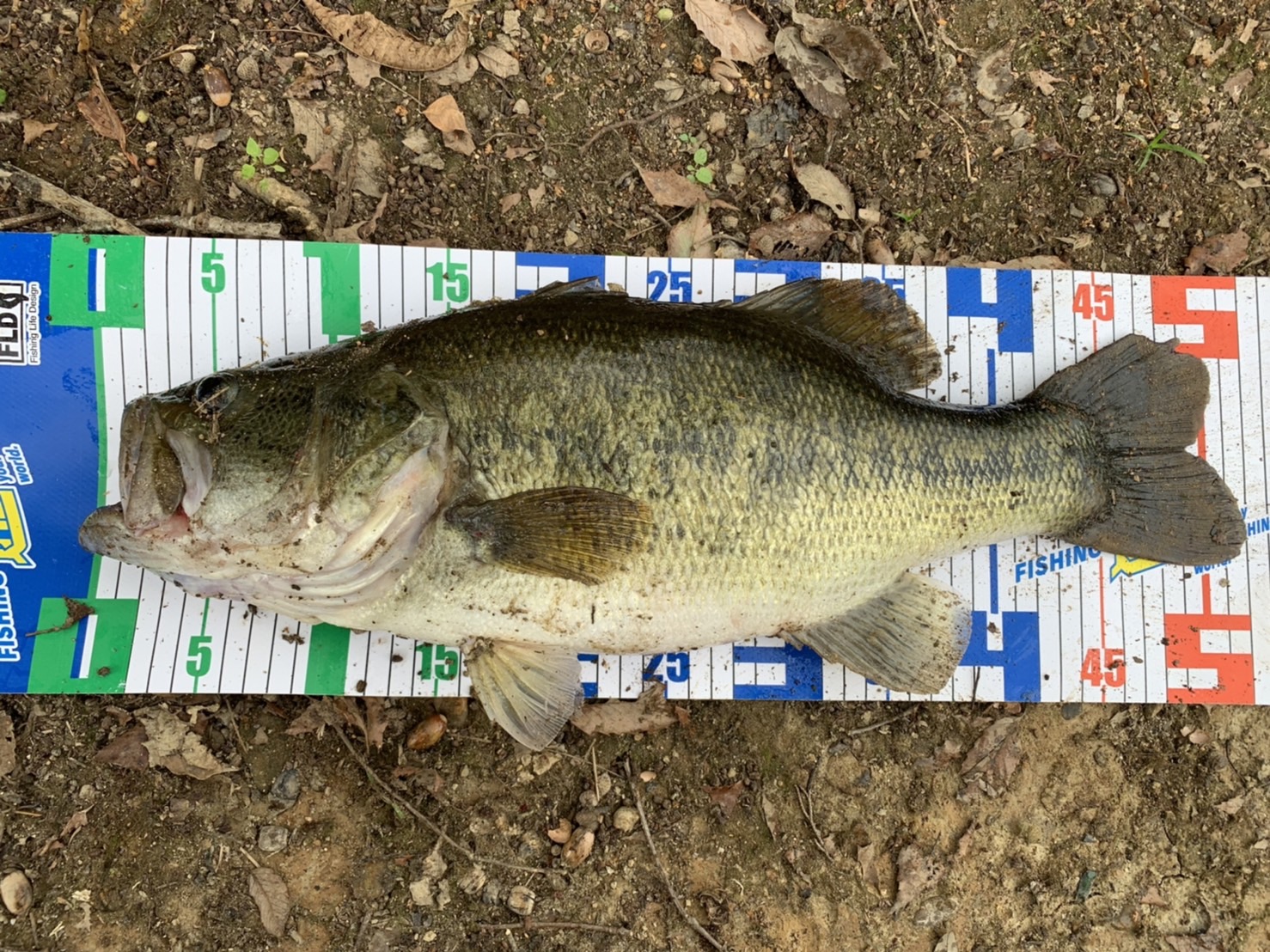 DIxbCA6nVpx0MJFMqdJKNwnfGNLqLAMn1Ld8CU5NadTYwCVdsqfpF5Ey44A10UdNqLAySgROUOFiFyhxywBjsP2W1aTBkaL_9scivyihXyhZBkYCrRrsUCf-VHDINeHi