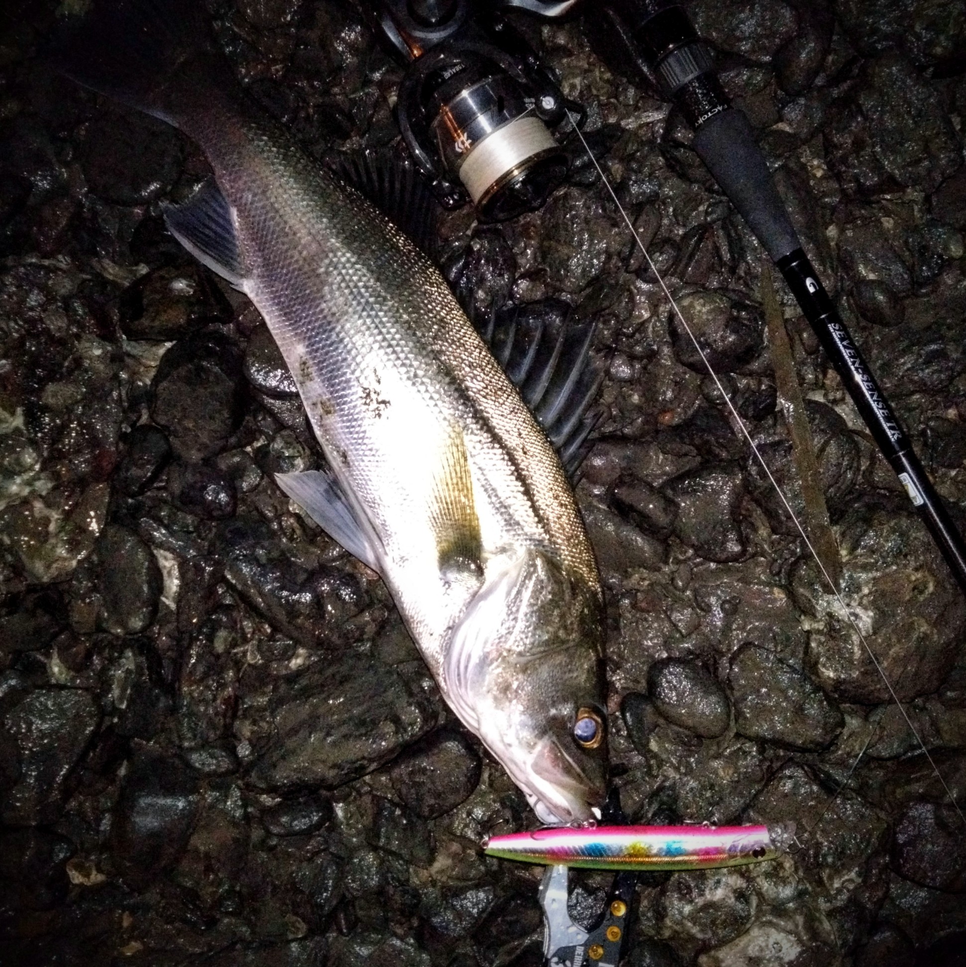 DSC_0529~2_copy_1941x1942