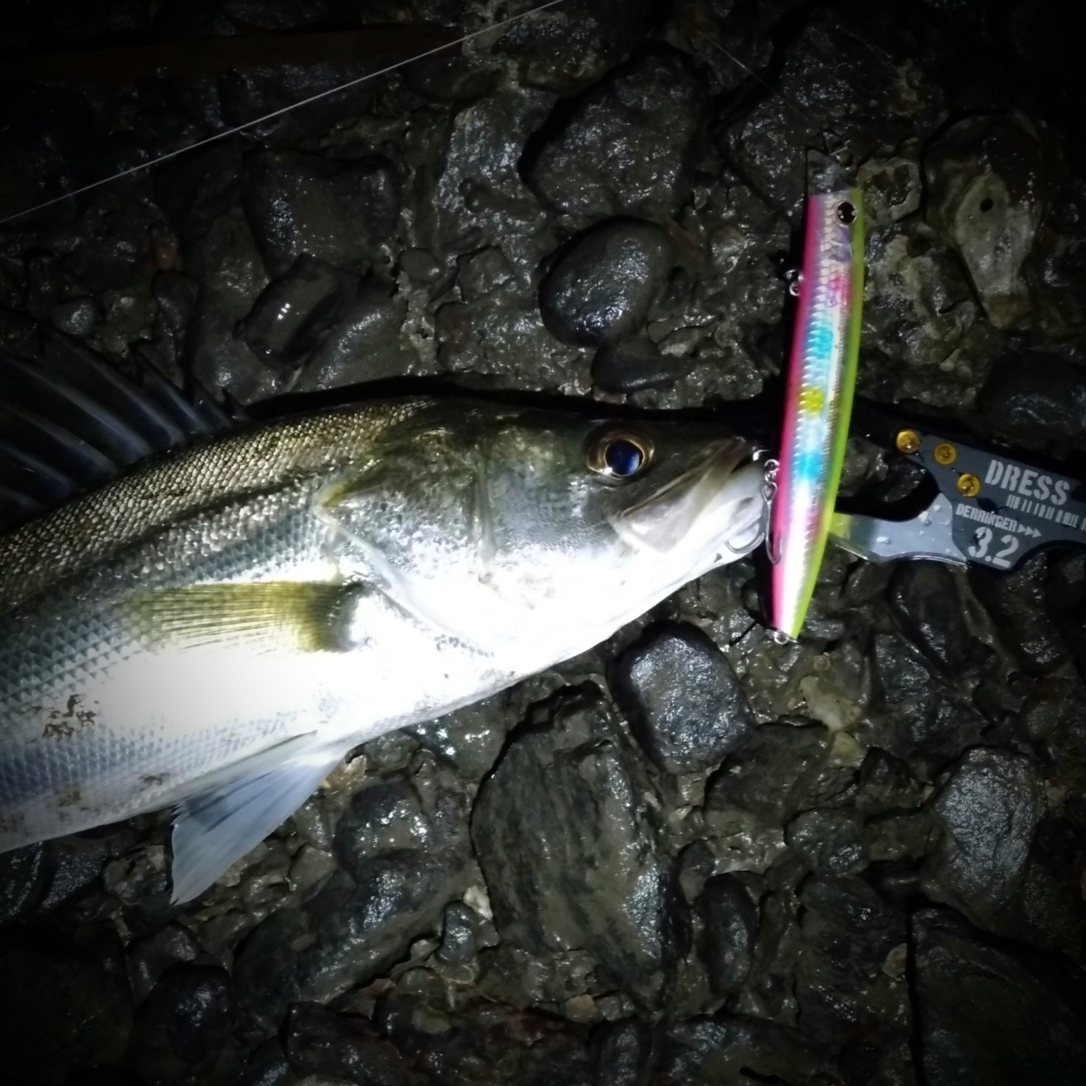 DSC_0535~2_copy_1542x1541