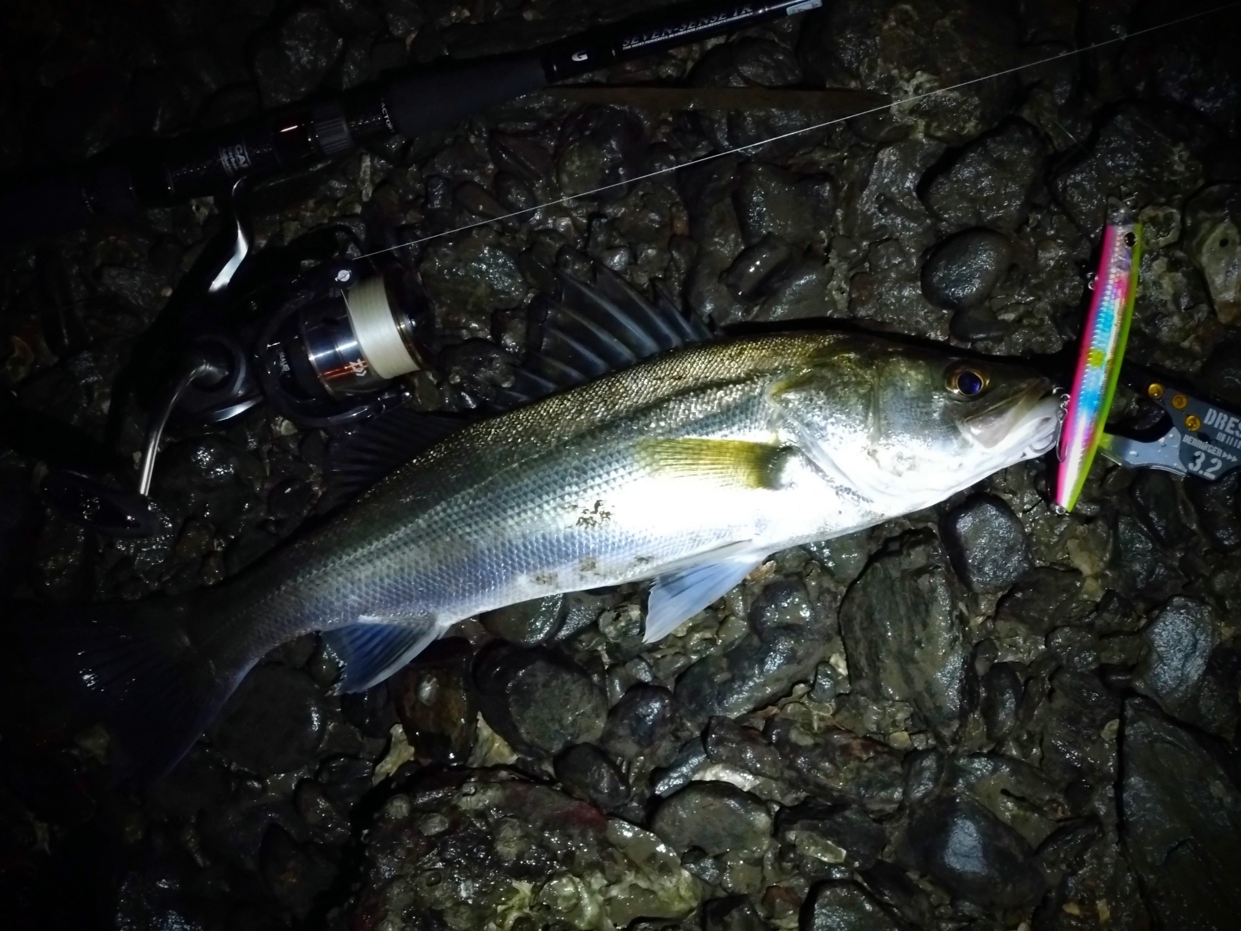 DSC_0536~2_copy_2448x1836