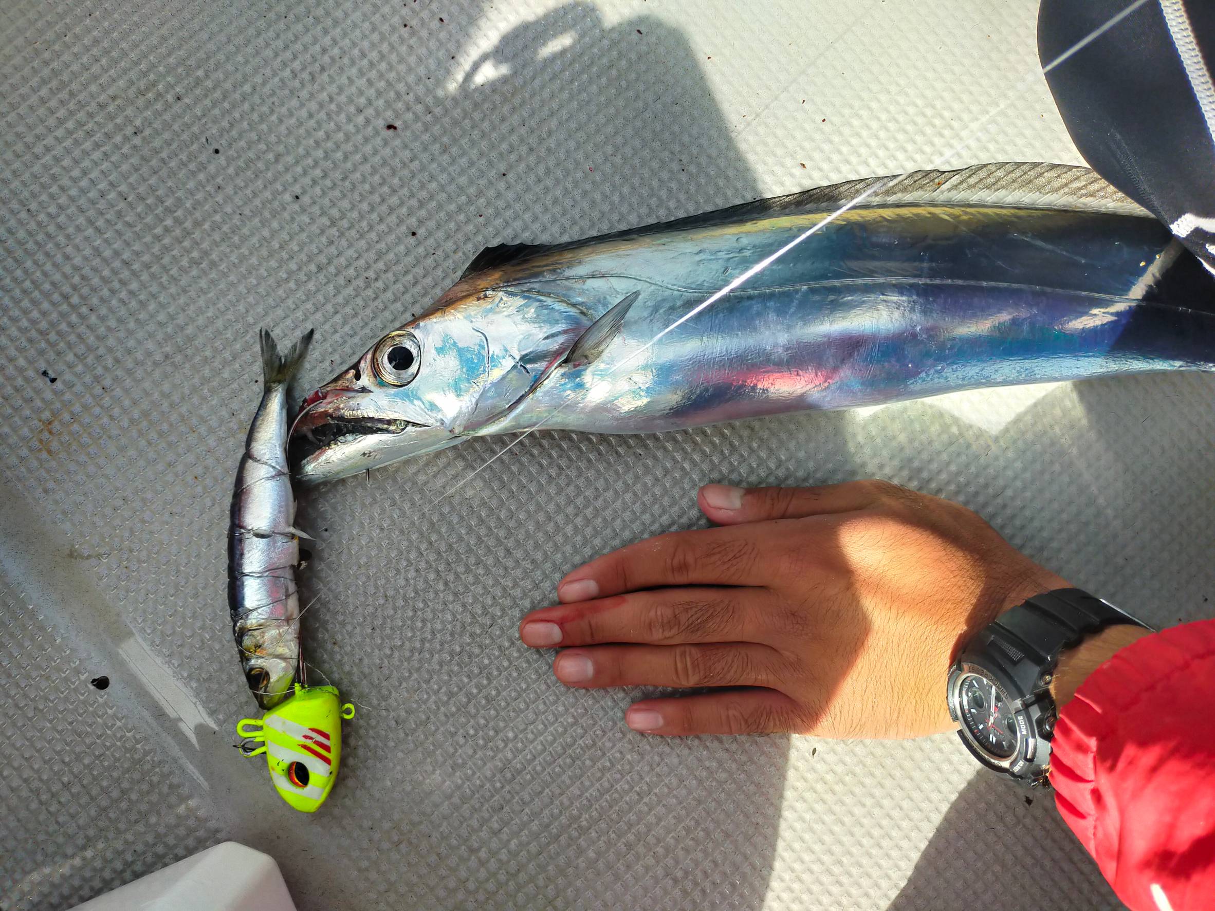 Dzce4c5miG-4XUdJKJZRV1PQzv3sd4AUqeLx-NkLqHrWz2kji4RWTEExWJ452vKGruZV6--4_UDAVwyVRtQLvrsrQcCrVuuvZL8jHpbH86sznJ5uXbvilnBC1WX973KF