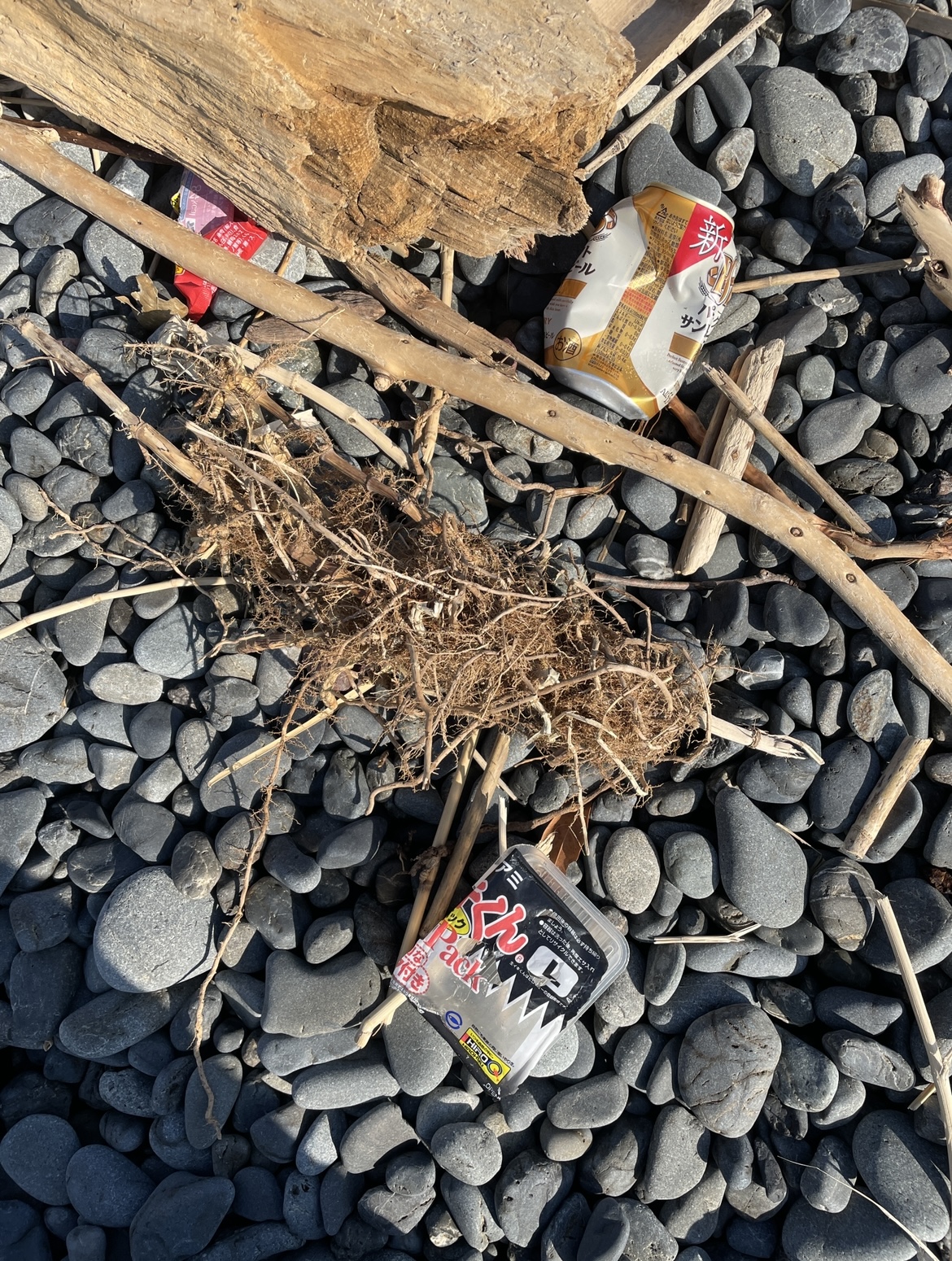 E201B705-652F-4142-A6A8-5A6E7F8A129A