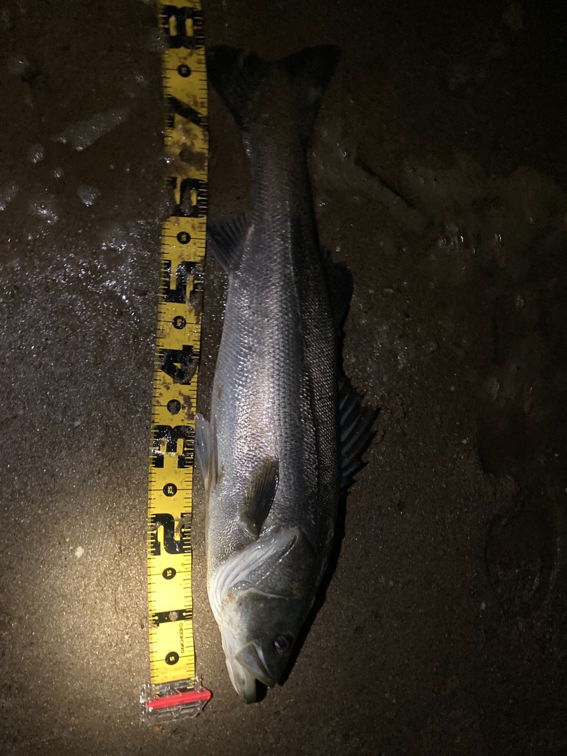 F4g564IlV8Z_ZUtVKgPVH7fsbh8vB-fRZ4Zt4LNYR4PyWttpOqRhWHhqAlYxMSoPyWPfe9dFlcIwpEEV5pshY5fAUVJuoQQkRz8jonNp6yWPMbeEqidfme-JhrgXG4LP