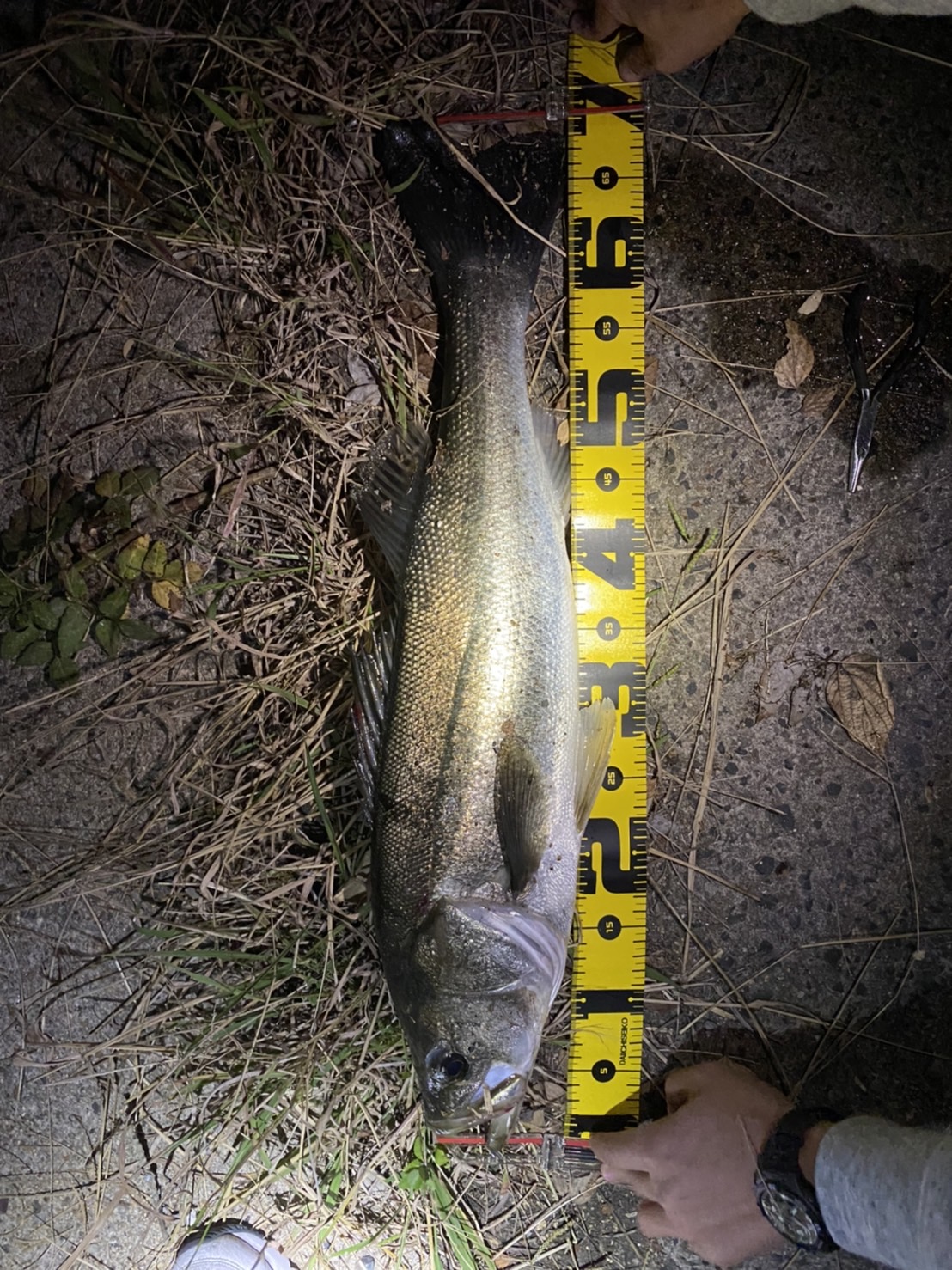 YF2FtNlqfWWk9rn9PVnqE8Wlqroe0q07_M151l1WU_b9RtPc-ffNWIhOXjugTxVmWBAqV7L3a1Qj7qKnB-U9IFYwNI49t2cA0eInUPWBQj5GnFmvHyolEwlue8Aq0tU9