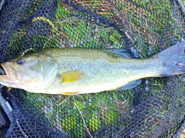 img_20221017_153918_694