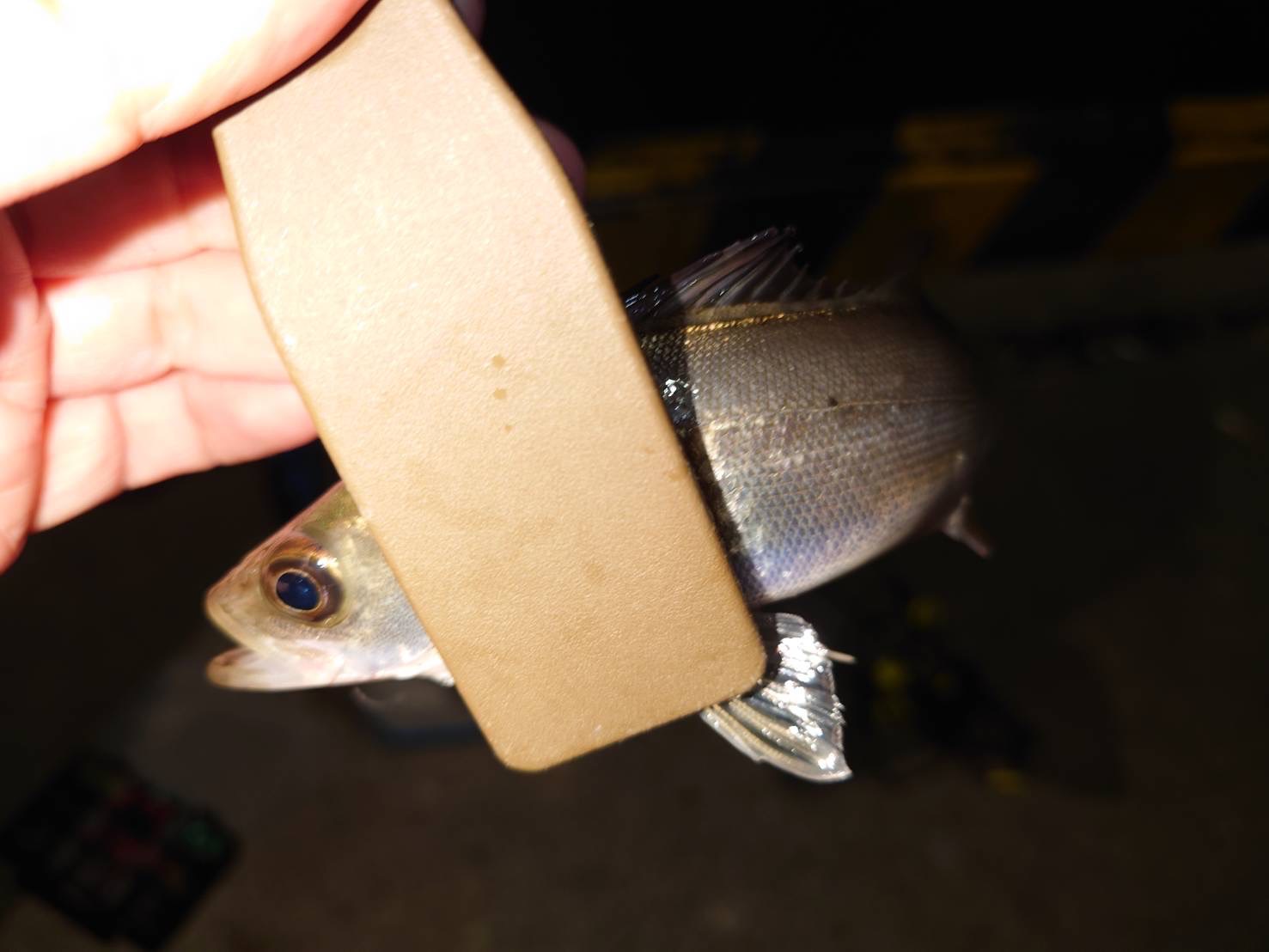 line_oa_chat_221008_160102