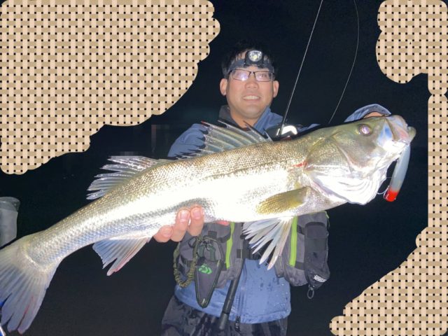 line_oa_chat_221012_093445