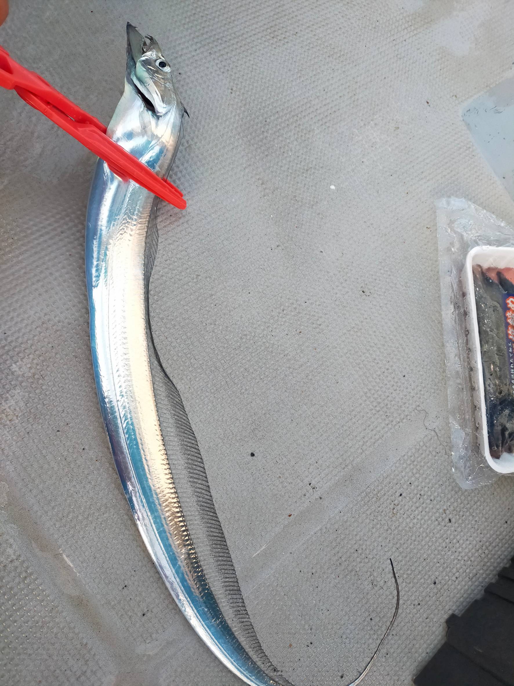 pBVw9JXPJXuV-enJt9Ya2eY1ZfCtJoPHVl4Um3SOBt12GYuLWWvglkI66JAyIlgh6w19jmcBEcqOvcigLvuBlPOKXrgM18jW3HXlYR8O0_Fk9uG4fYLE8n_-wDe_4Mye