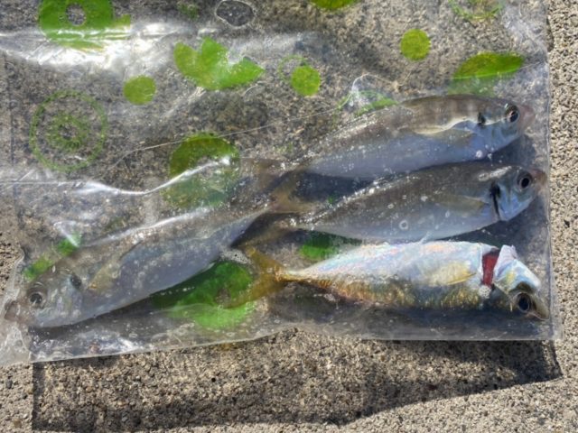 qzzWpukY31RQCB59HkMkTmlEqqK2O8eKbRbA3rWbs69X3iinjhyszEbpv_AN6Gl2vLKsUt2OHrtJuF71Ve4CogzcxH51gA7KL-_3h-HsgGdYvjOklb_XwUYehvI5gJbv