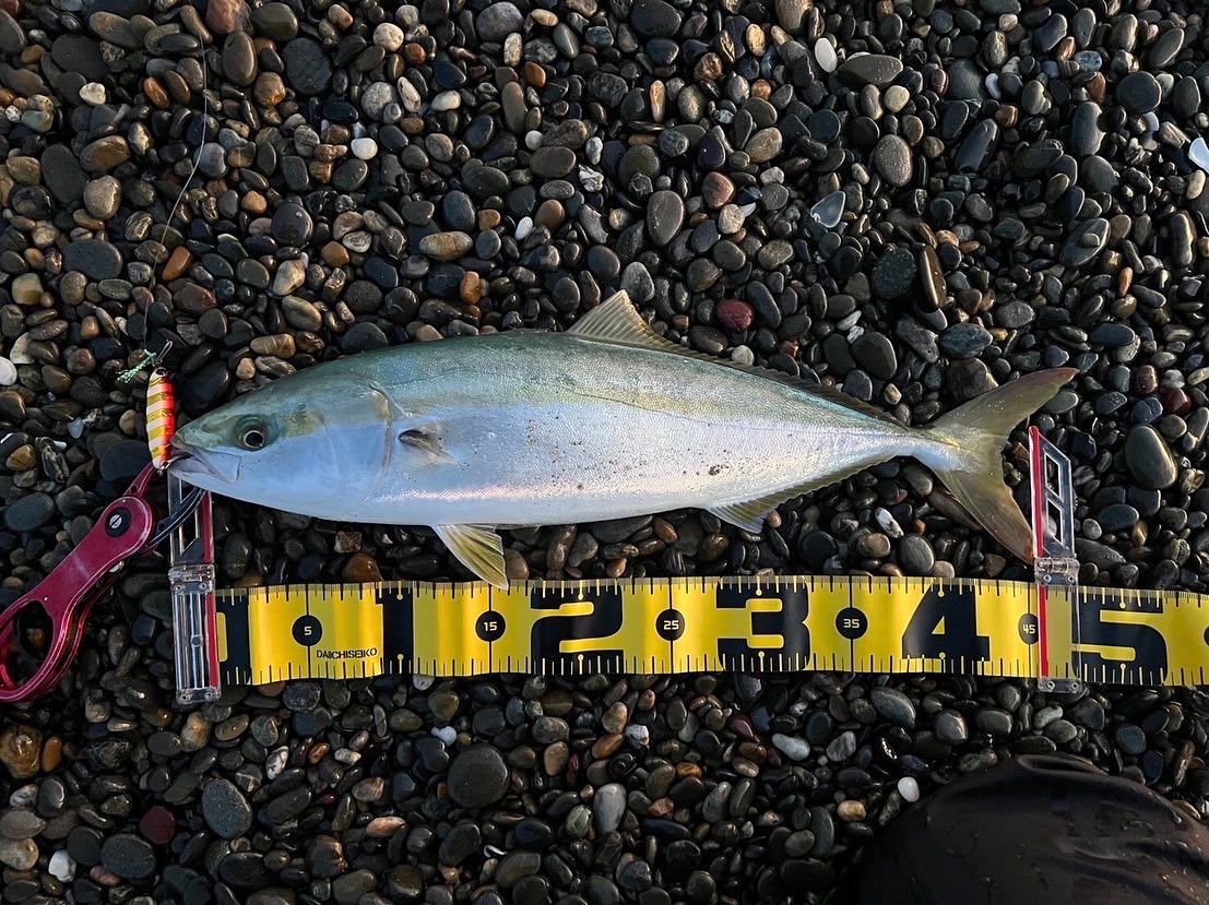 5707112F-DA47-4CEA-BEFE-6F041717015F