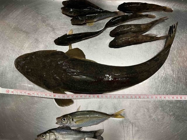 6fcc9cd6-a343-40cb-8bba-b9a3e3b33fd1