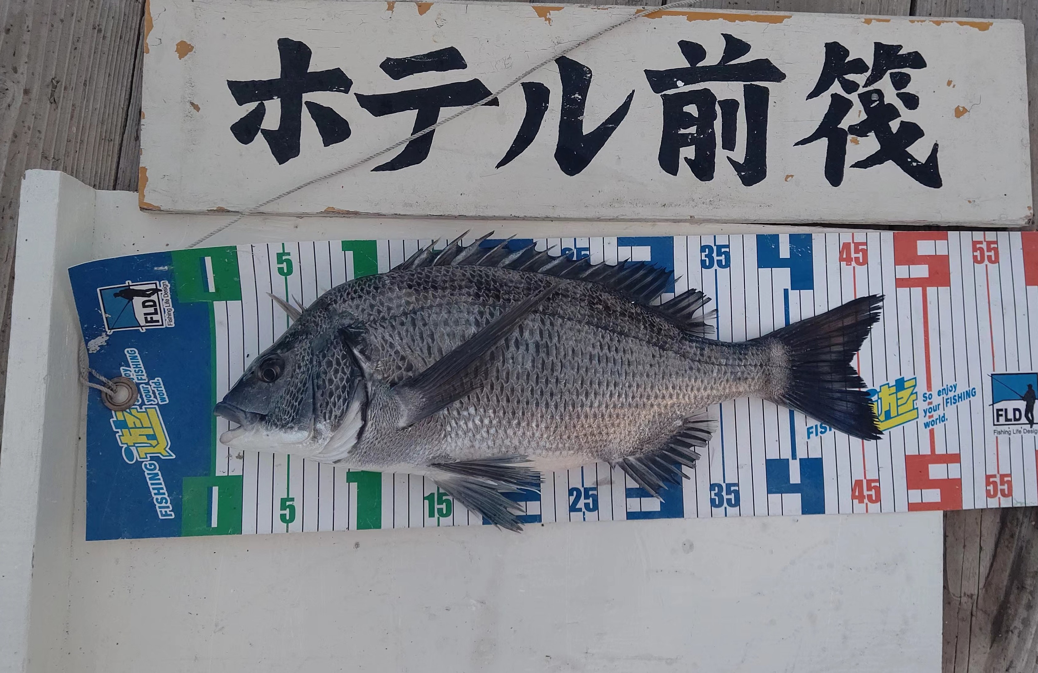 11月6日メジャー付き (2)