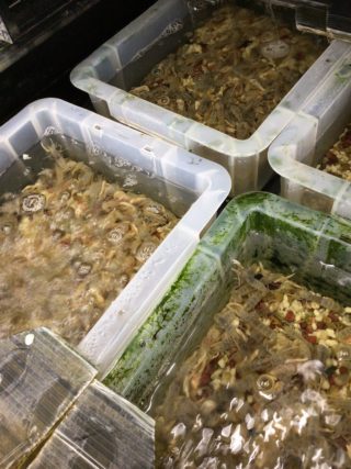 83C29F4C-EB7B-4A17-B37E-FE2EFC6BE819