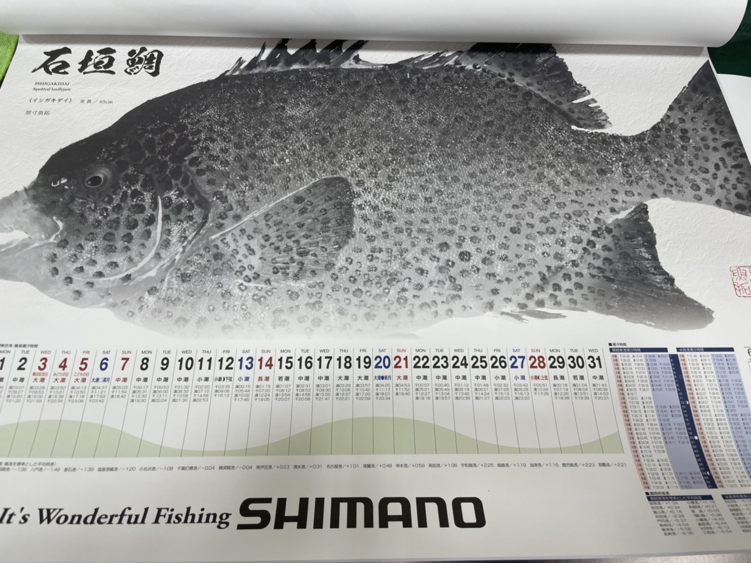 2021 2023年 シマノ 魚拓カレンダー 山本釣具センター archeryarea.ch