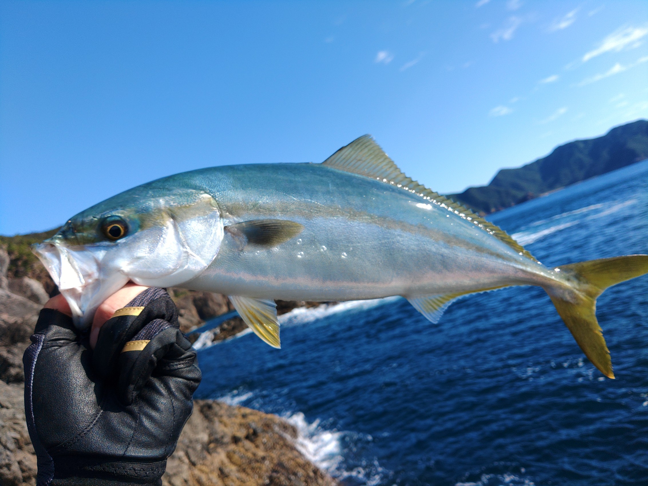 KIMG4335_copy_2265x1699