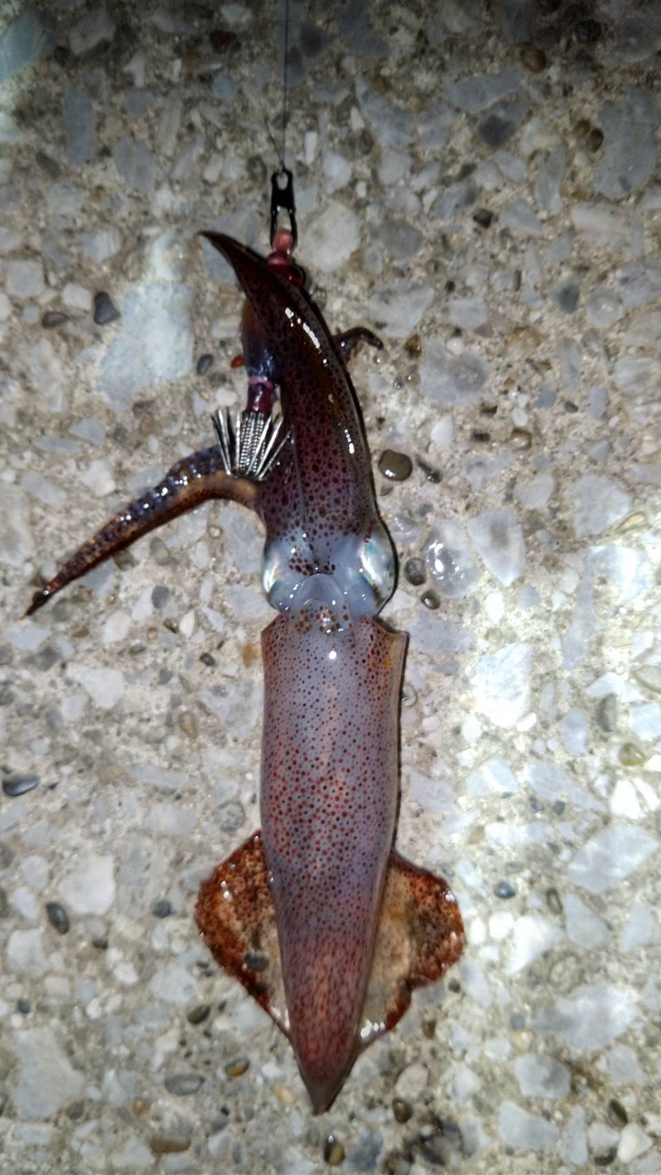 QvVhNwMl12tG9r-pQxdtUEJIgyec863oQuw38SiUj528KqroBjADKaDlzlowndKgxgz8XqROhsLcZVKYlaUp_JF0fP5W8DhlpCJdMW3MdbgFdlOU1oSXCrMmcit8ZEAJ