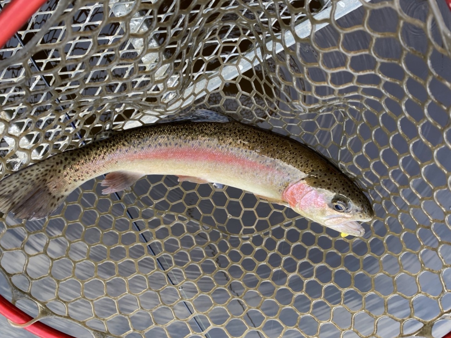 aYNSzNjJNSHc_L_mB-fzDixel2kIz4SSv6TfDhm1bTAm3geBQuYHFEugzjKfYF50tiF24J8lhqhl_TRJjxGazcPjRaPVSNTUkbZtPNHhaEU6fkdS1RnusgFhQYUUc5BF