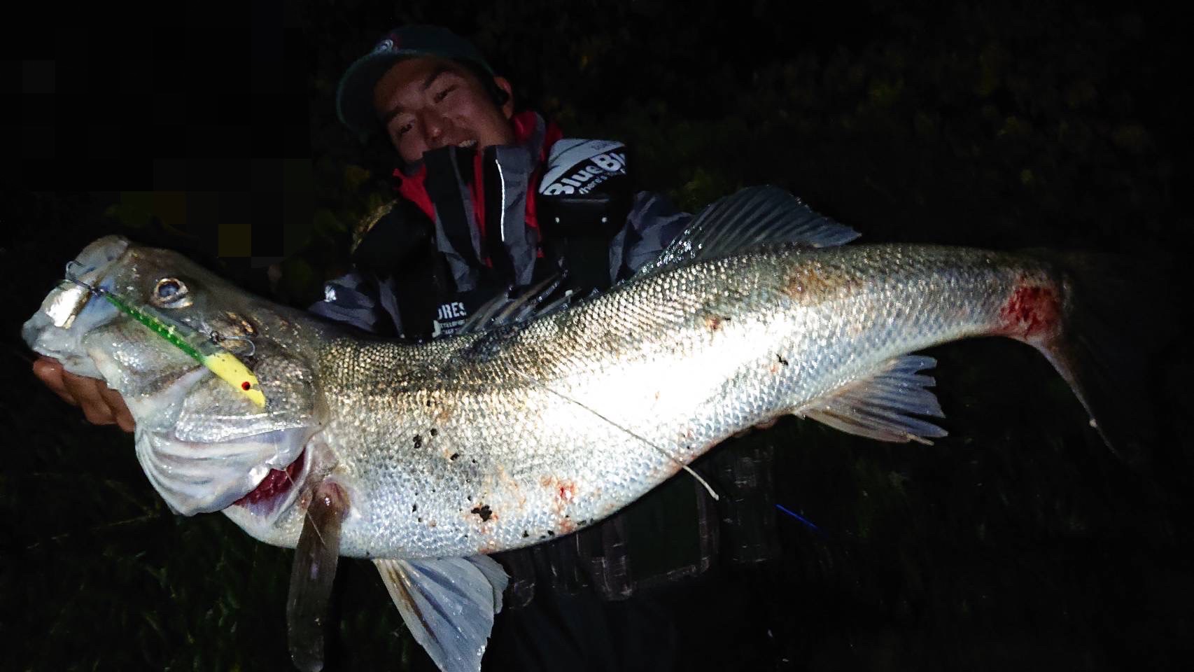 line_oa_chat_221110_141026