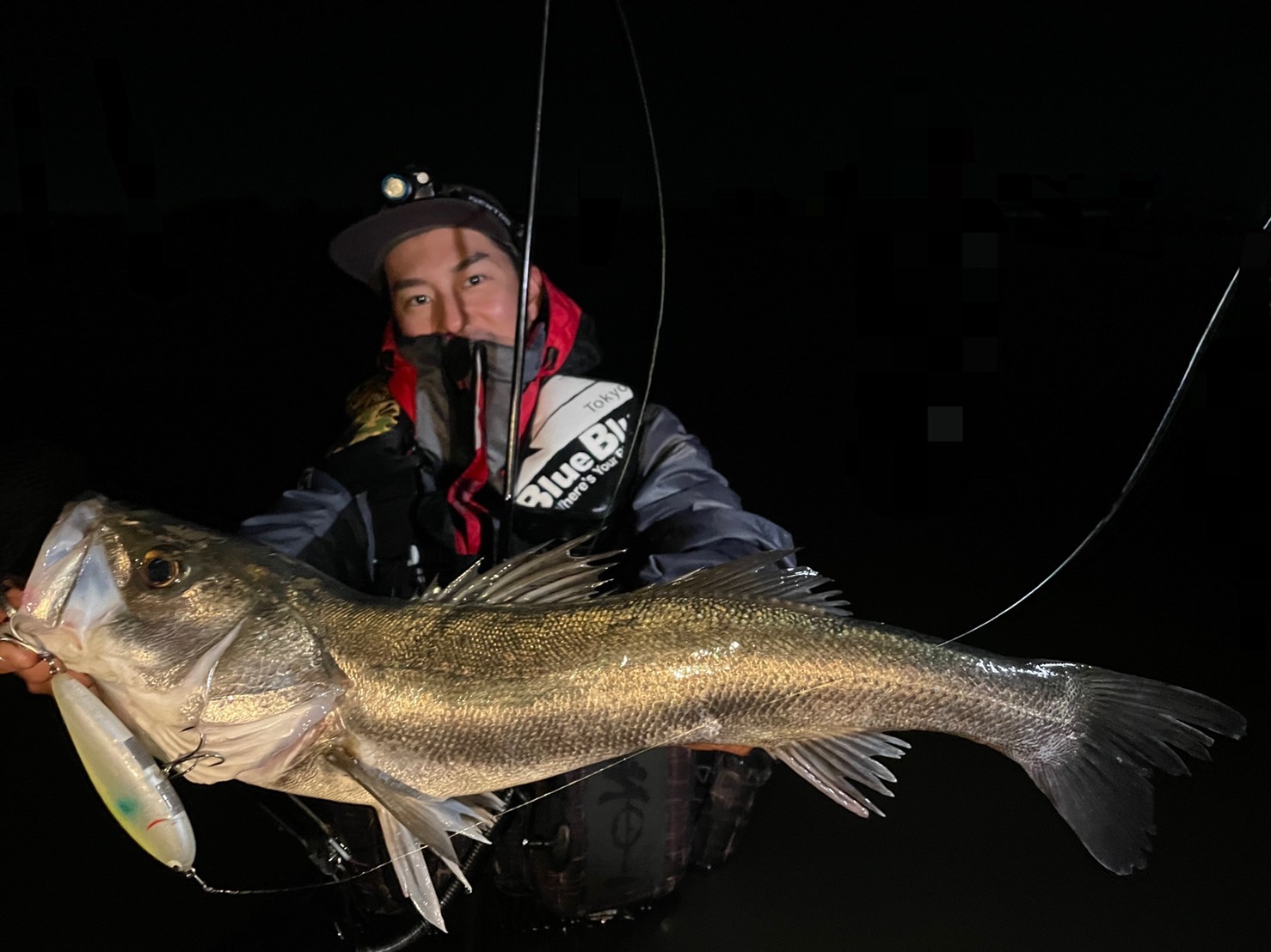 line_oa_chat_221110_141135