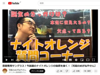 ナイトオレンジ