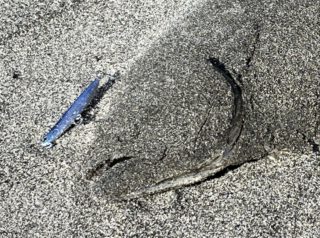 7E9ED859-B0CA-46B1-998D-39E76B291611