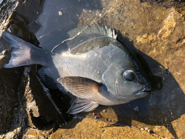 AD44E15E-BFAA-42C6-8B5E-7B717B0421AB